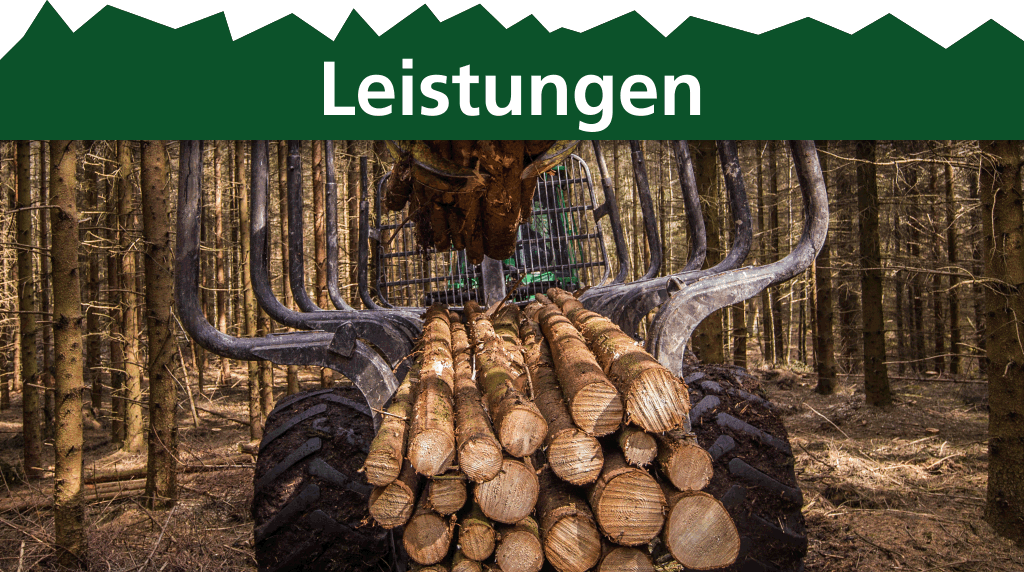 Leistungen